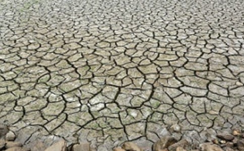 宣传干旱的标语