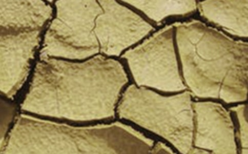 �����ֹ��Į���͸ɺ����ģ�������������������