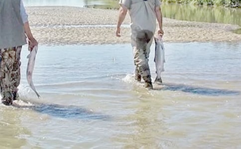 �ҵĸ����ҵĺ��ֵܸ��������