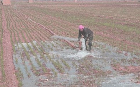 ���ܸ�������Ĺ�ʫ