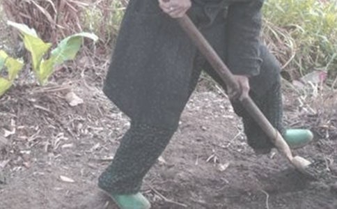 白鹭起处好耕田散文