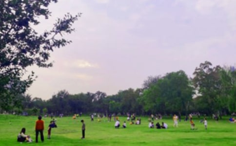 ��԰����300�ֺϼ���ƪ