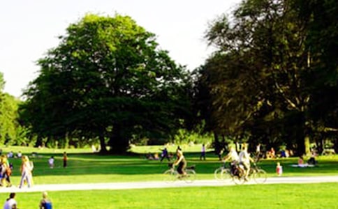 ������԰�ĵ��δ�