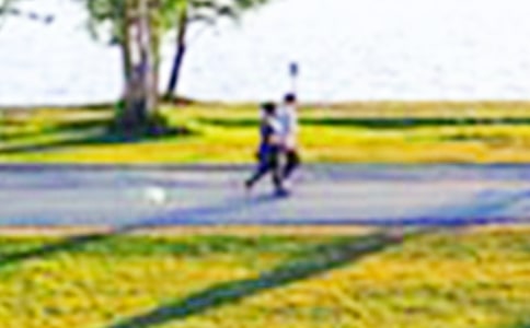 ������ɽ��԰���δ�