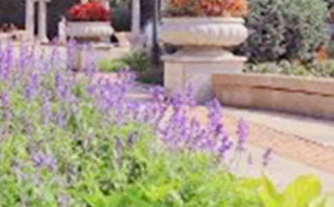 ����Т�ж�����԰�ĵ��δʷ���