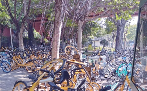 共享单车的利与弊作文初中