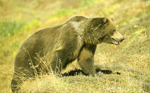 ����������ʿν̰�����ѧ��˼����ֻ�����ܡ�