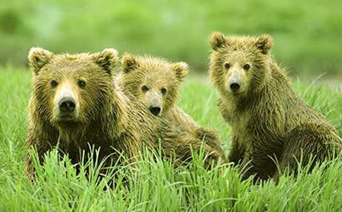 װ���Ĺ��ܱ���ͯ������