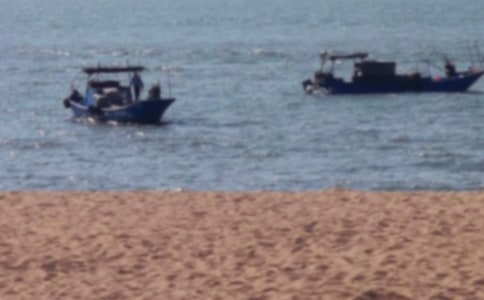 鼓浪屿游记作文400字精选