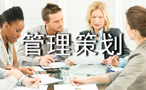 项目管理策划书范文