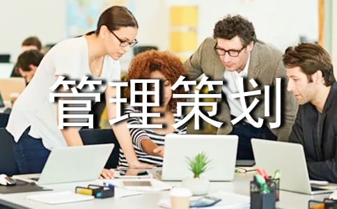 it项目管理策划书 (15篇)