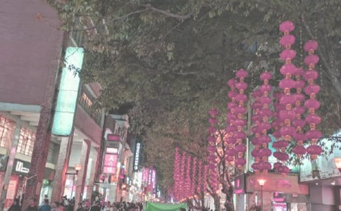 ��ͨ���㳡��·��ֹһ������ѧ���9ƪ