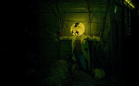 ���ر�����������300����ƪ