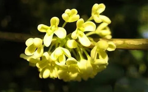 ���˵Ĺ�����500��