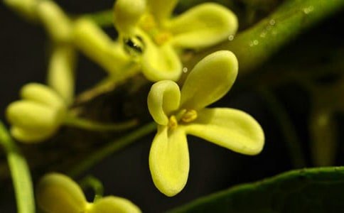 �𻨿��˳�������400��