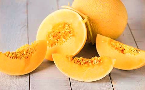 给哈密瓜的一封信范文