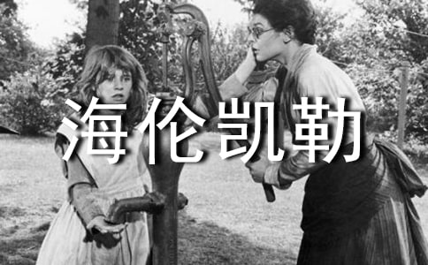 лл�㺣�׿���600������