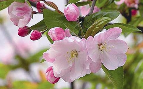 ��ʵ�á���������500����ƪ