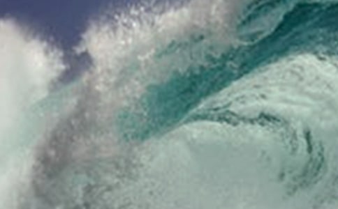 ��Х����ֳ�������