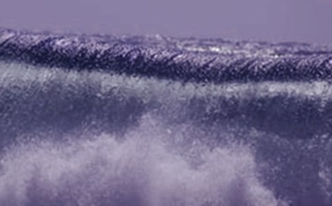 ���ֺ�Х��һ��������