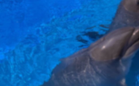 ��ɫ�ĺ��ൺ���������