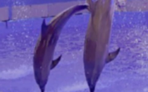 �����ĺ���400�����ģ���ѡ27ƪ��