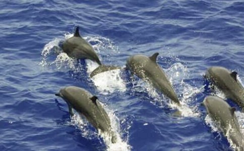 ����ɫ�ĺ��ൺ�������300������6ƪ