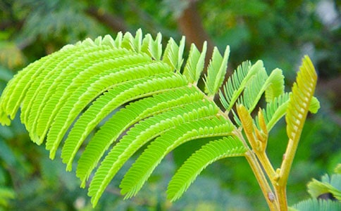 �ֺ��߲�����200��