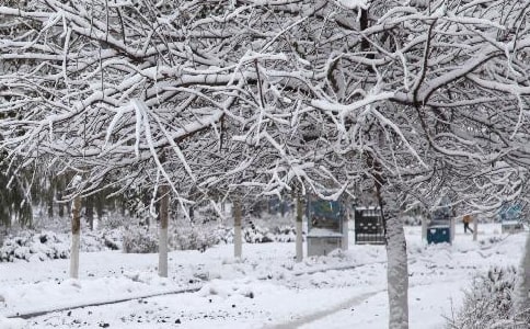 �������Ӧ��Ԥ��