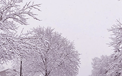 冬季防寒潮应急预案(通用21篇)