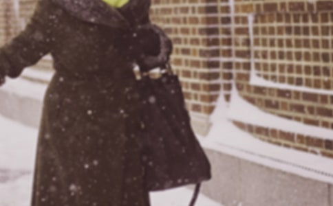 防寒潮大风应急预案(精选5篇)