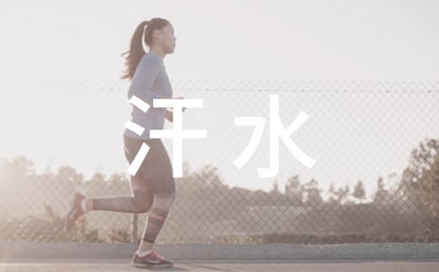 父亲的汗水作文(5篇)