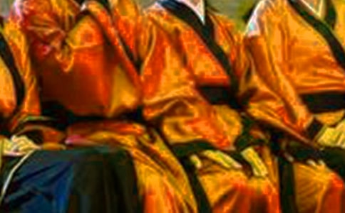 ϰ��Ϊ��������ģ�����ķ���ϰ��