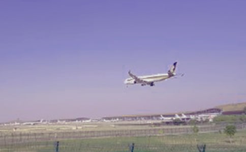 ���ĺ���ĸ��