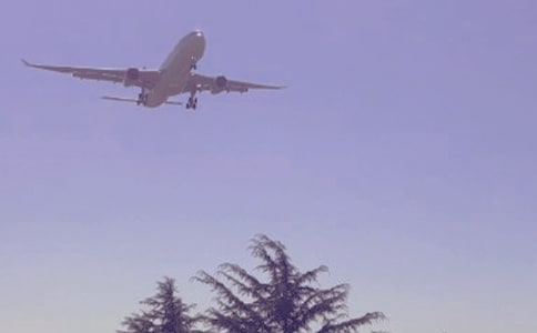 《欢迎乘坐“地沟油”航班》阅读答案