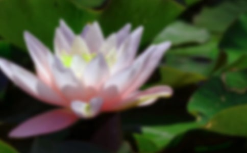 �ɻ�����ѧ��ƣ���ѡ19ƪ��