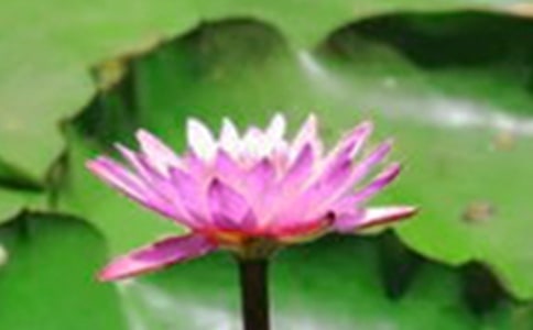 ���ɻ����ڶ���ʱ��ѧ��ƣ���ѡ13ƪ��