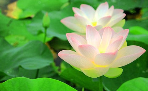 �ɻ���ѧ��˼����