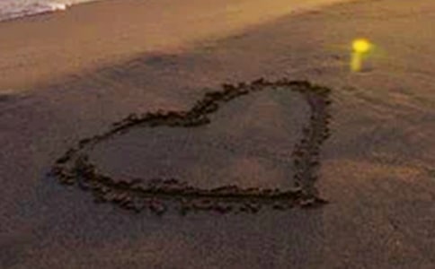 我们热爱和平的世界作文(精选28篇)