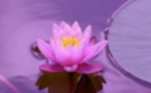 ��г�Ҹ�����������