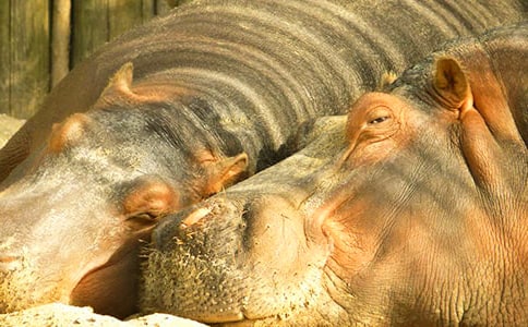 ���������ֵ�С�����������ѧ��˼����