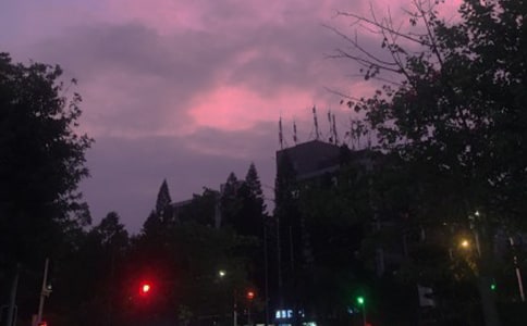 ��ҹ�����Һ�ɫ�ĳ���������