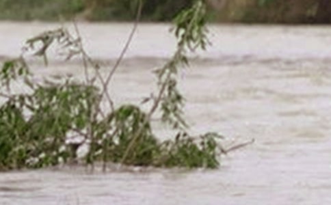 ��ѡ��ˮ����400����ƪ