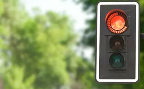 ���̵���������������