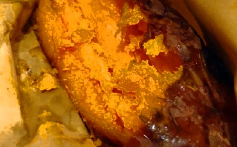 红薯作文500字锦集5篇