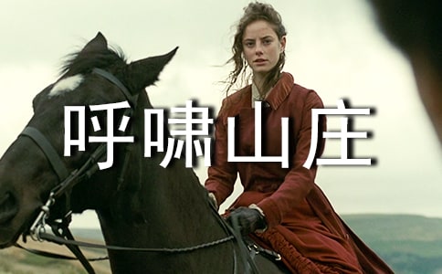 《呼啸山庄》读后感500字(精选10篇)