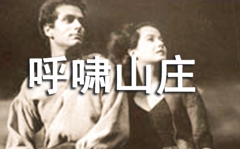 呼啸山庄读书笔记600字