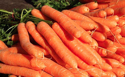 Сѧ���꼶���ܲ������ĳ����ӽ�ѧ��˼����