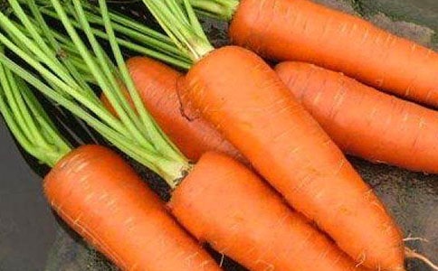 胡萝卜先生的长胡子续写故事300字(通用10篇)