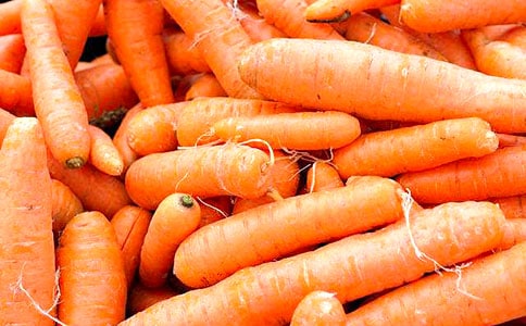 ���ܲ������ĳ����ӽ�ѧ��˼11ƪ